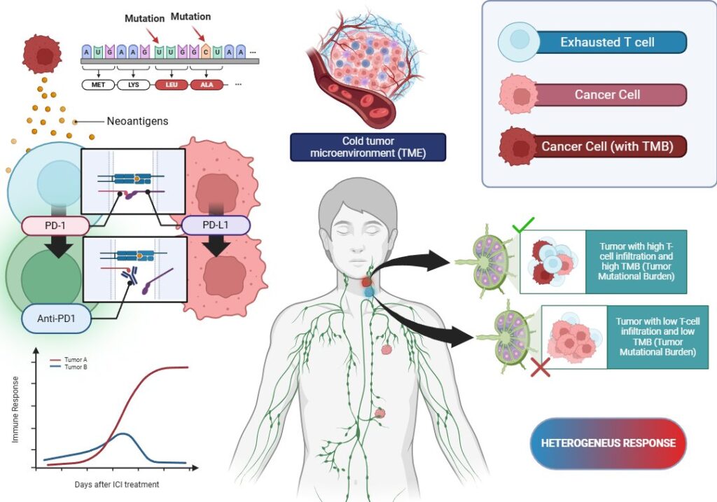 Gallery Detail: Tumor Heterogeneity And Mixed Response To Immunotherapy